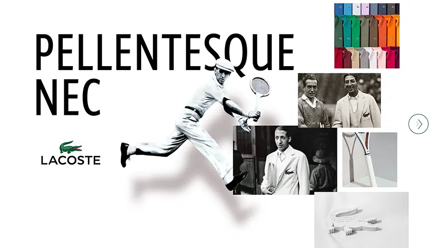 lacoste Présenter des données complexes de manière attrayante